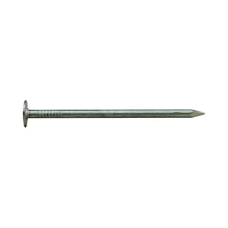 Homestead 1.5 in. 5 lbs EG Roofing Nail HO2739122